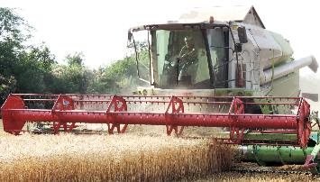 «Агрокомплекс» собрал 2,3 млн тонн зерновых  и зернобобовых культур