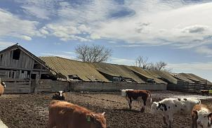 Продажа, Дом, кошара, х.Николаевский ул.Восточная 32 , 34/2